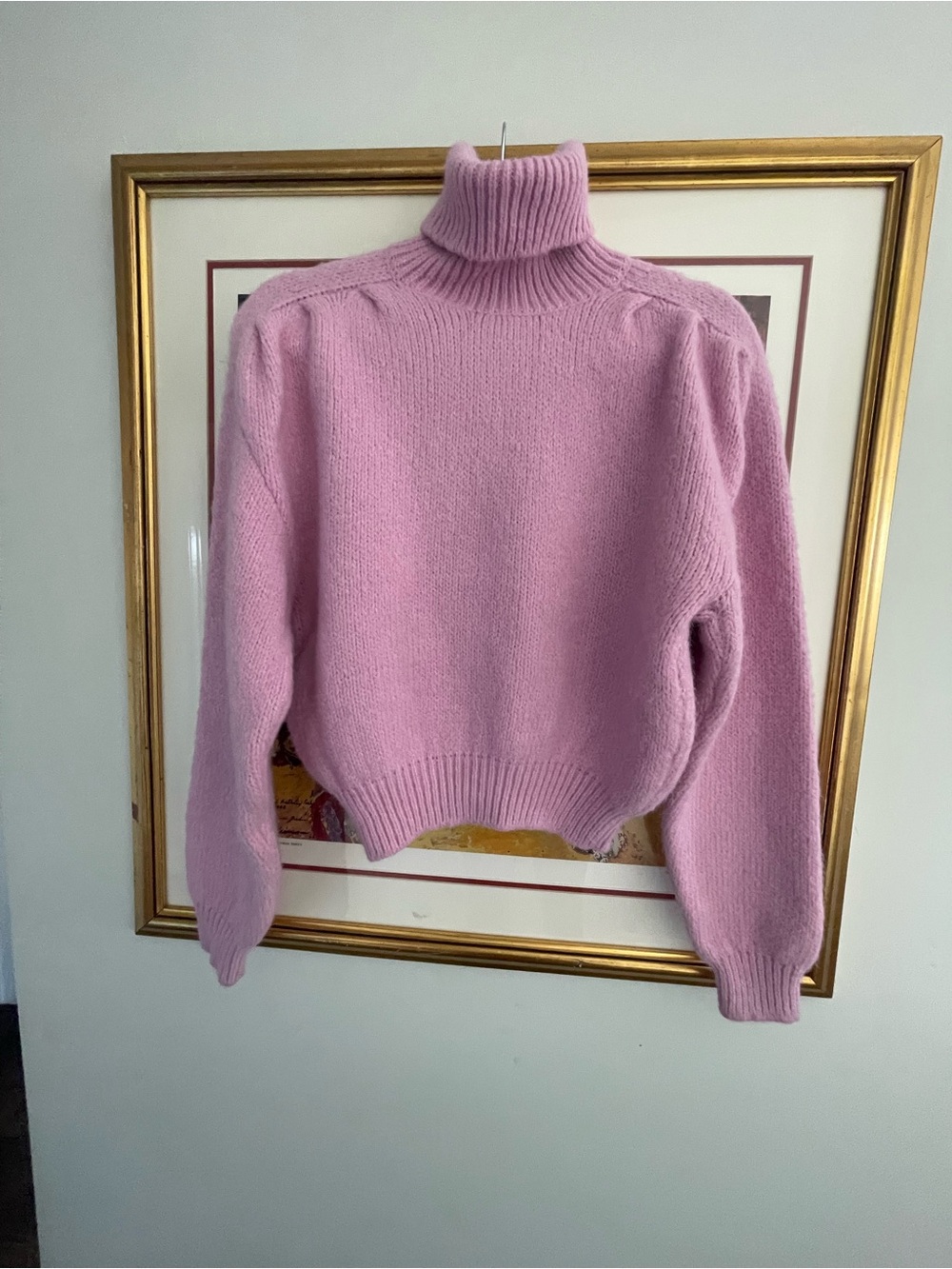 Zara cropped turtleneck 🩷